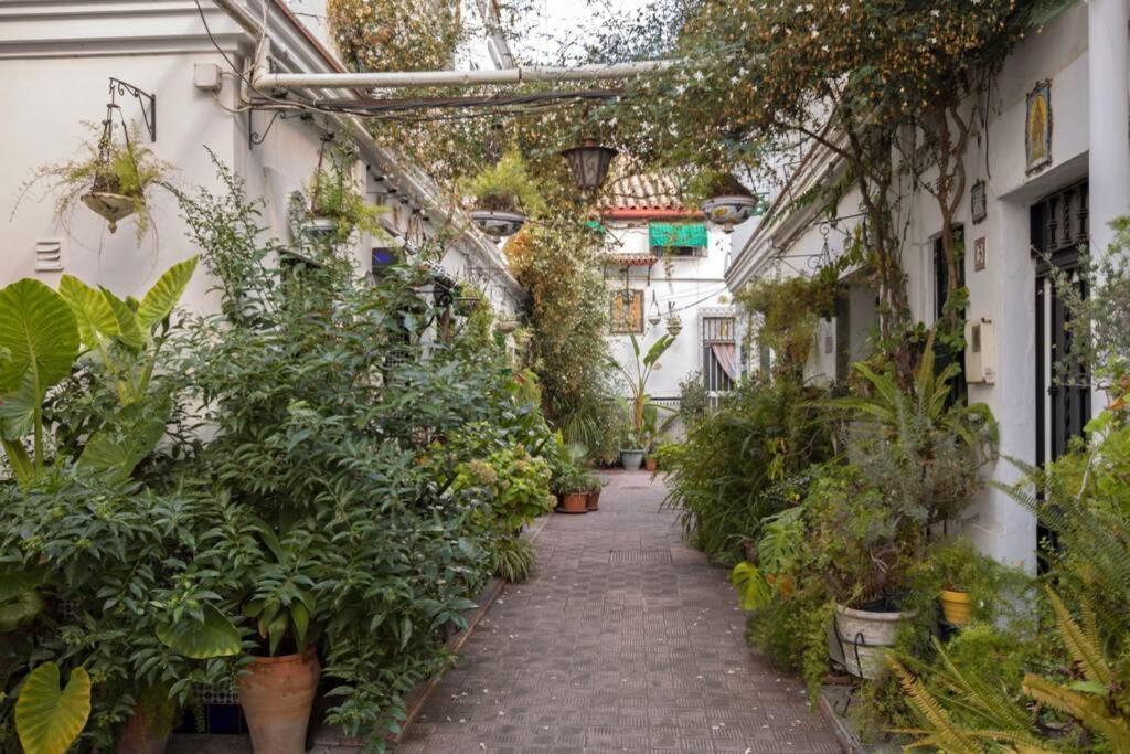 Castilla Triana Courtyard By Valcambre 塞维利亚 外观 照片