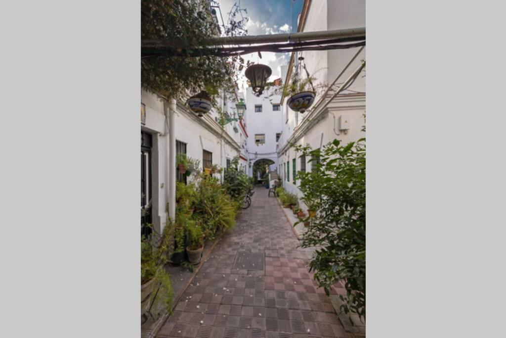 Castilla Triana Courtyard By Valcambre 塞维利亚 外观 照片